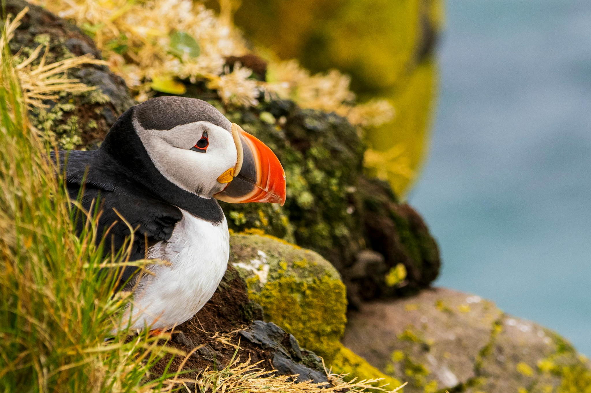 Путешествуем вместе: Исландия