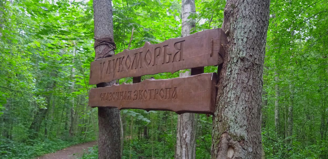 Бугаина тропа в лисьем носу. Экотропа лукоморье в лисьем носу. эко тропа у лукоморья в лисьем носу. бугаина тропа пешеходный экологический. экотропа у лукоморья.