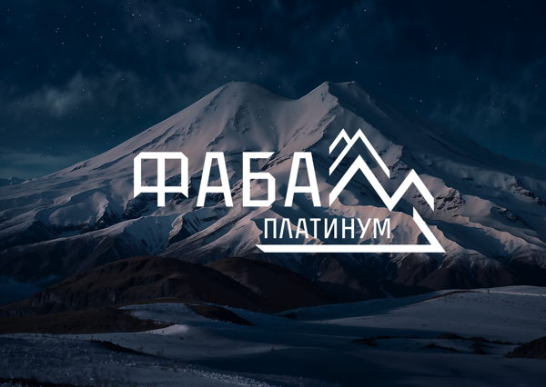 Закрытое заседание Комитета ФАБА по развитию бизнес-среды аутсорсинговых компаний Новосибирской области