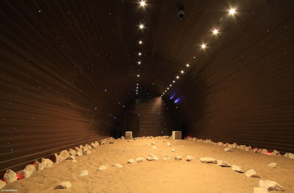 Бесплатная экскурсия в Институт медико-биологических проблем РАН