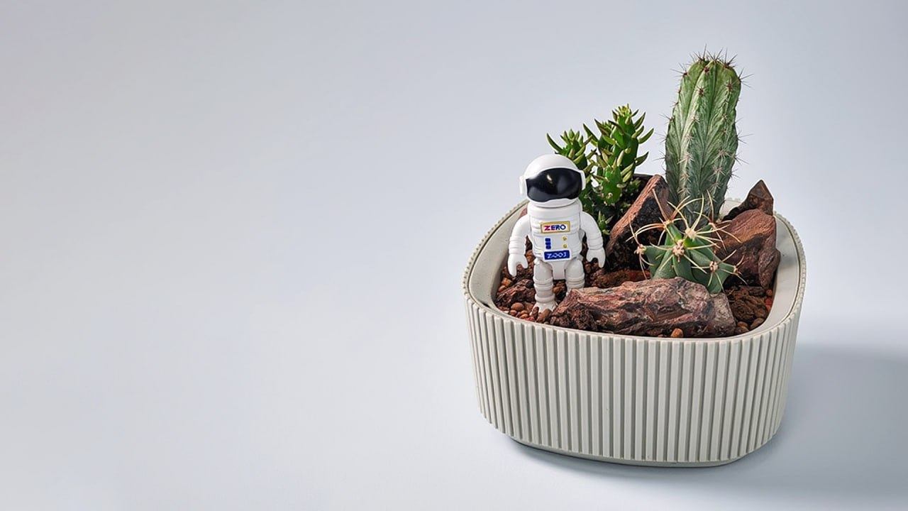 ДЕТСКИЙ АГРОНОМИЧЕСКИЙ МАСТЕР-КЛАСС посвященный Дню космонавтики "Экспедиция на Марс"