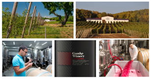 ПРЕМЬЕРА! Вина GUNKO WINERY 2020г урожая  - онлайн представит винодел Сергей Коротков.