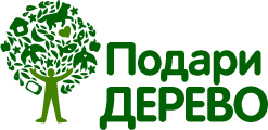 Всероссийский экологический проект "Подари дерево"