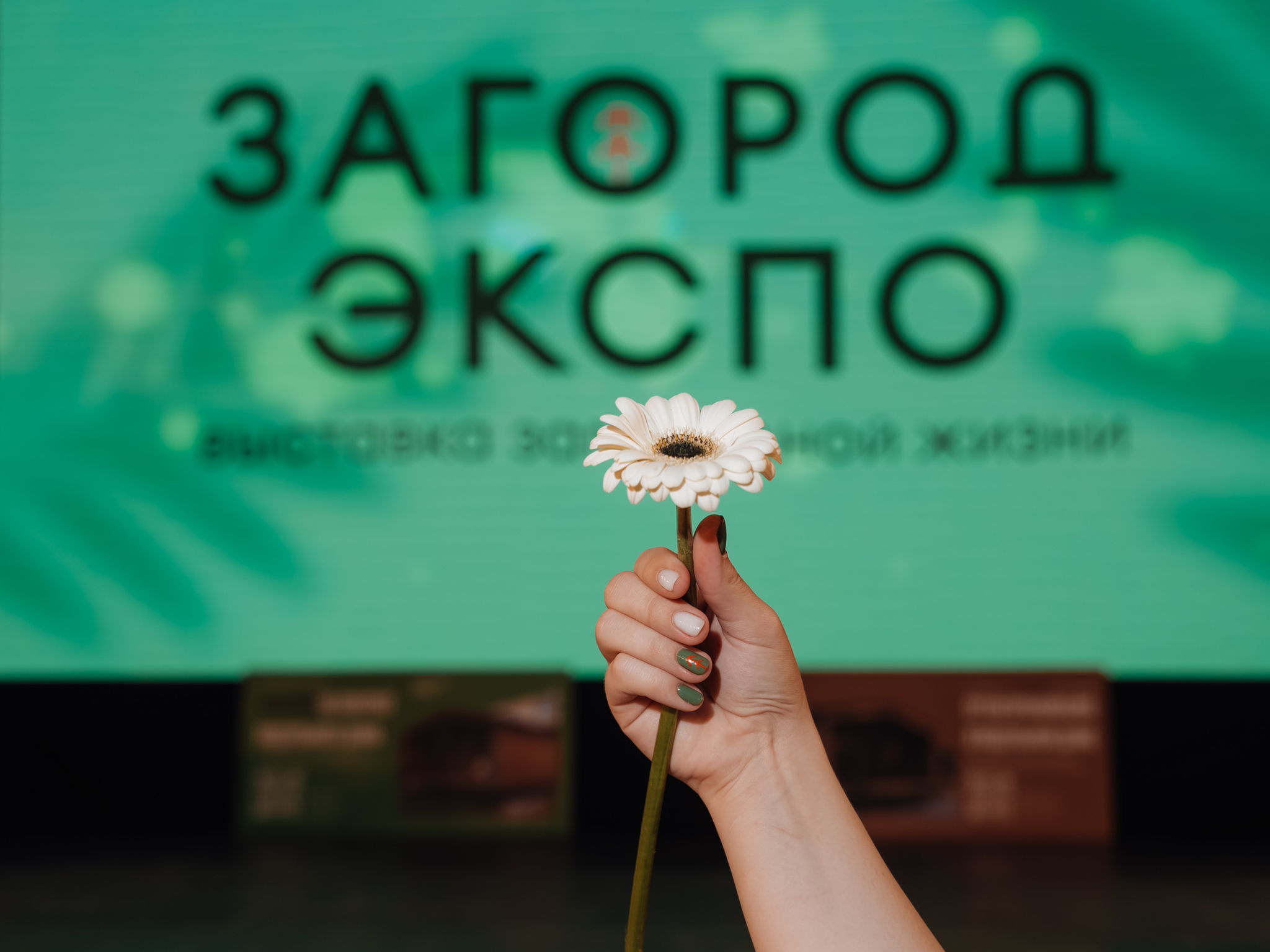 ЗАГОРОД ЭКСПО. Октябрь 2025, Тюмень