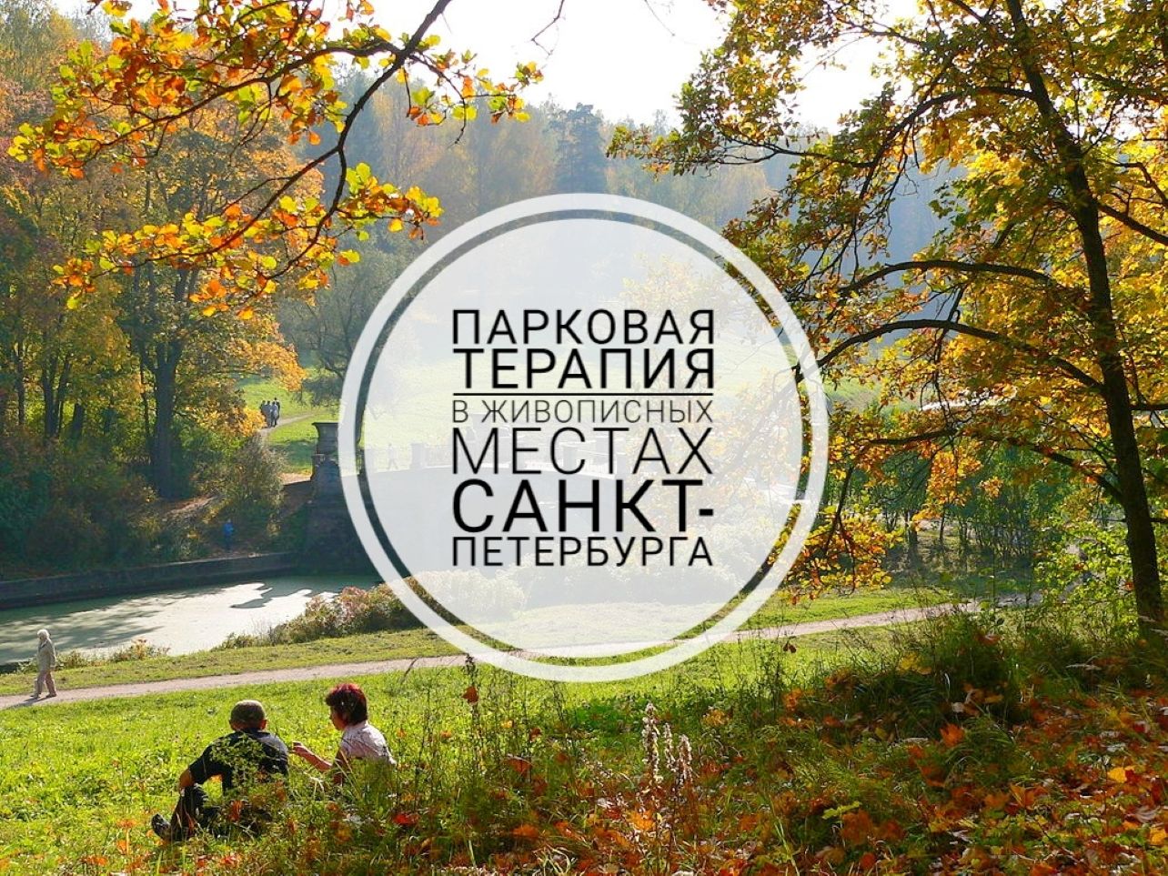 Парковая терапия