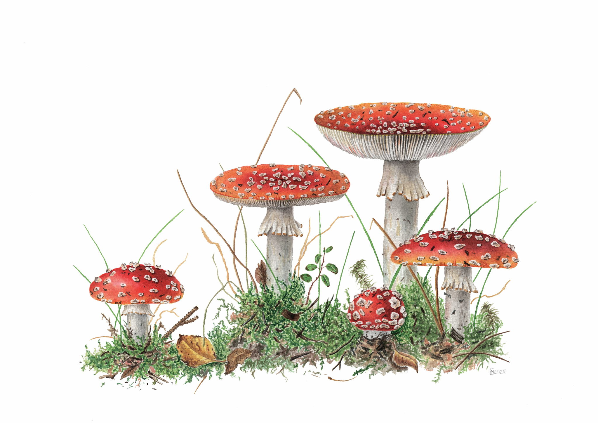 Вернисаж выставки "Флора и фауна России"