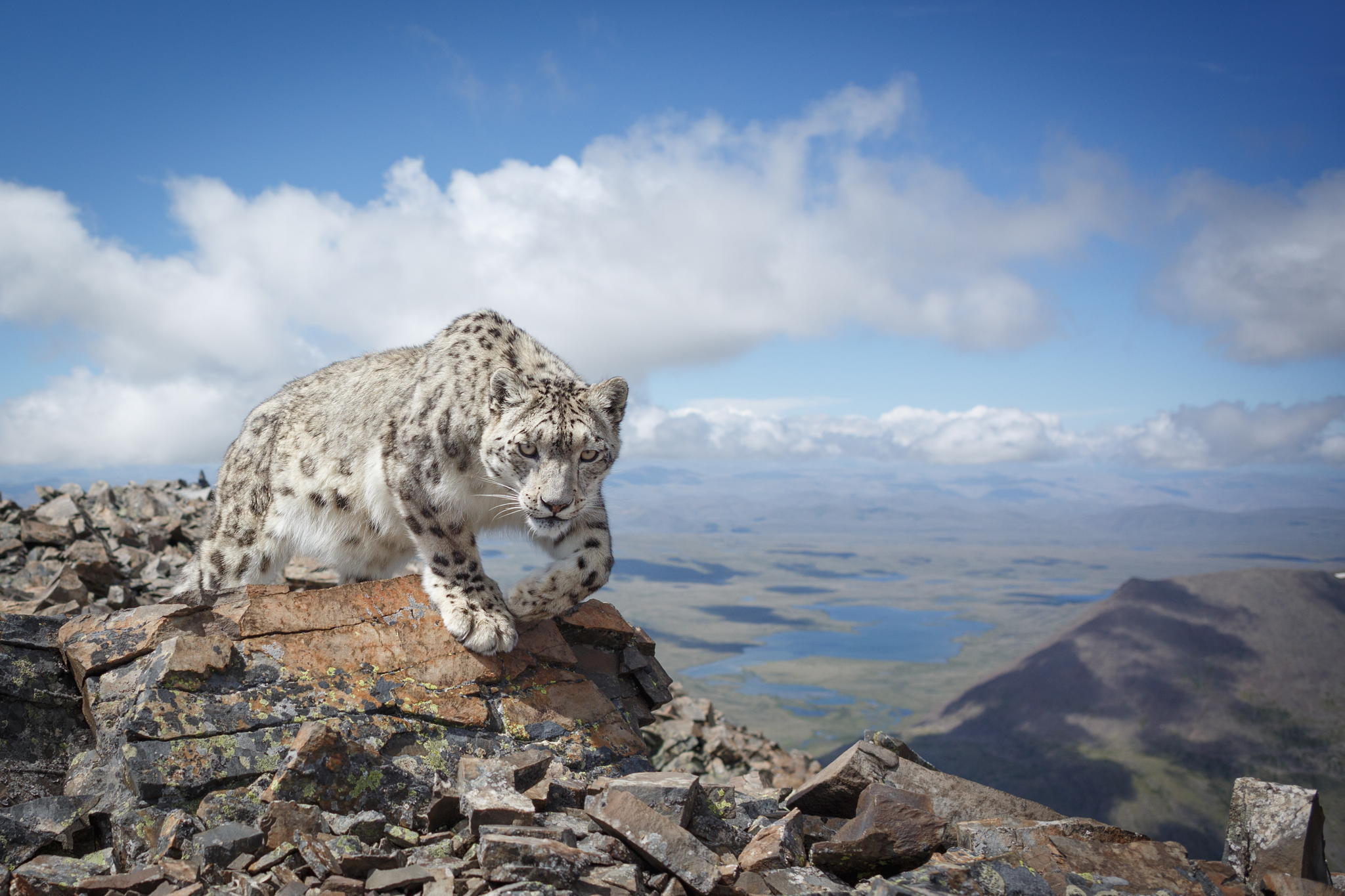 Мастер-классы и портфолио-ревю для фотографов от экспертов Русского географического общества