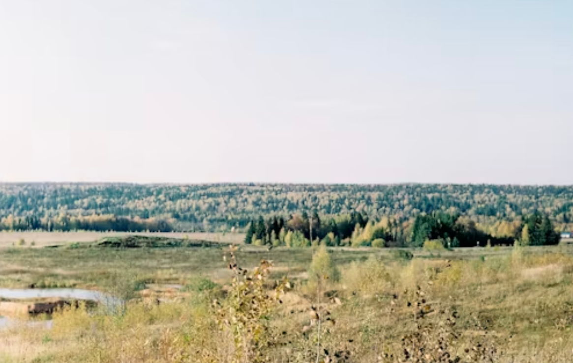 Пленэр "Новодевичий Монастырь и его окрестности"