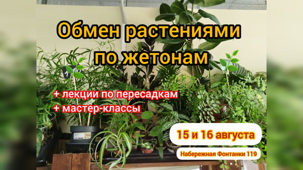 Обмен растениями по жетонам