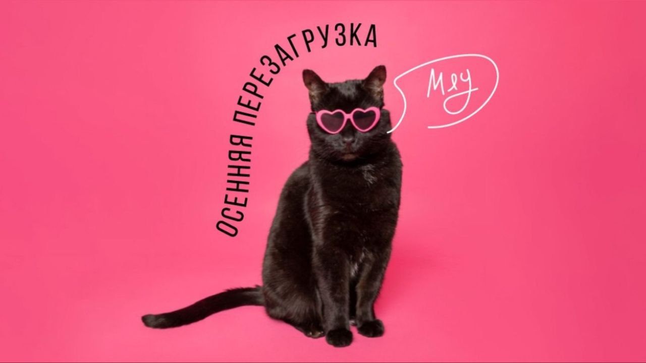 Плейбэк-перформанс "Осенняя Перезагрузка"