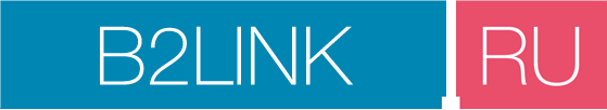 b2link.ru