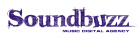 SoundBuzz - партнер конференции в Украине