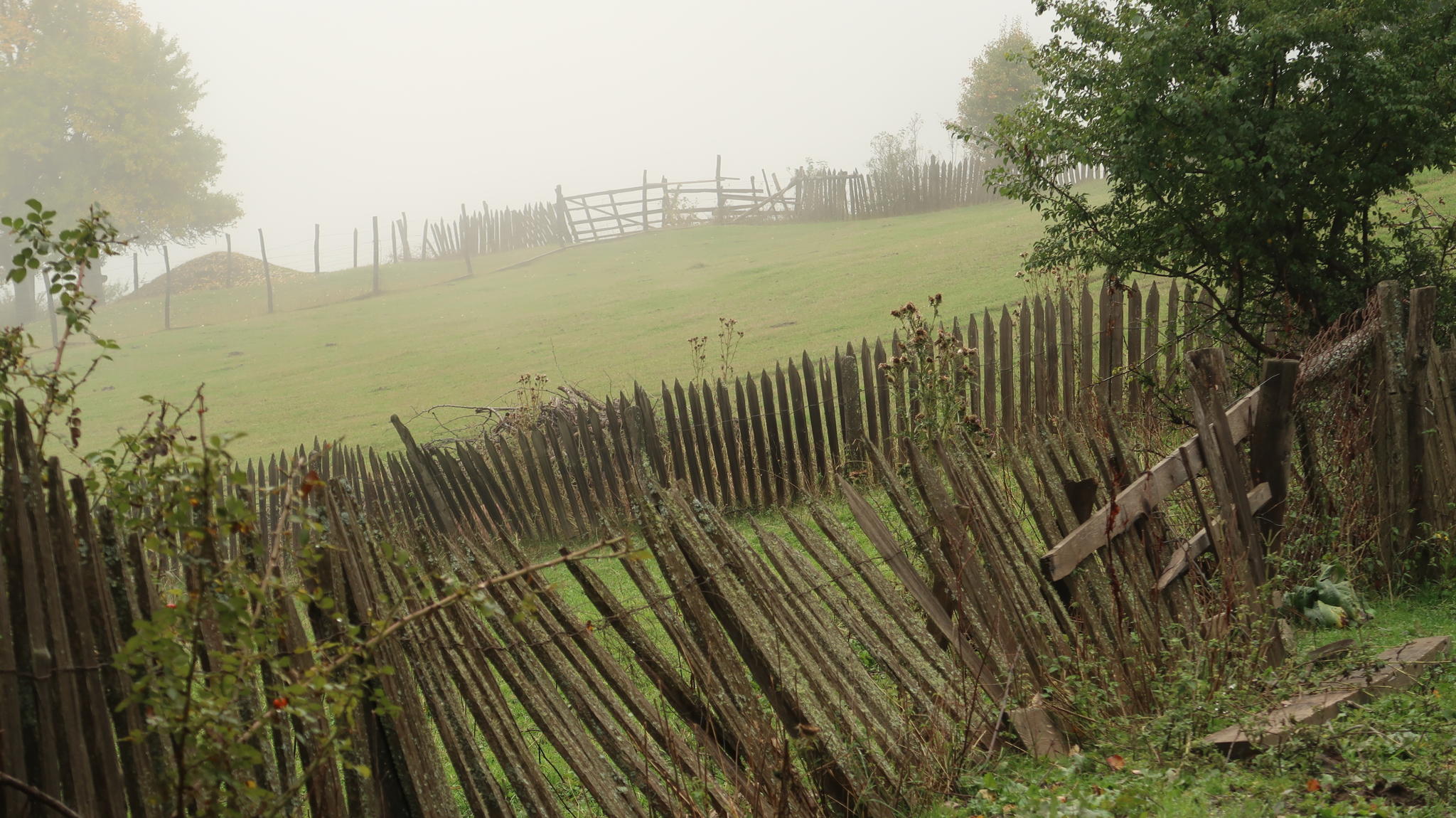 Презентация сборника стихотворений «Истоки»