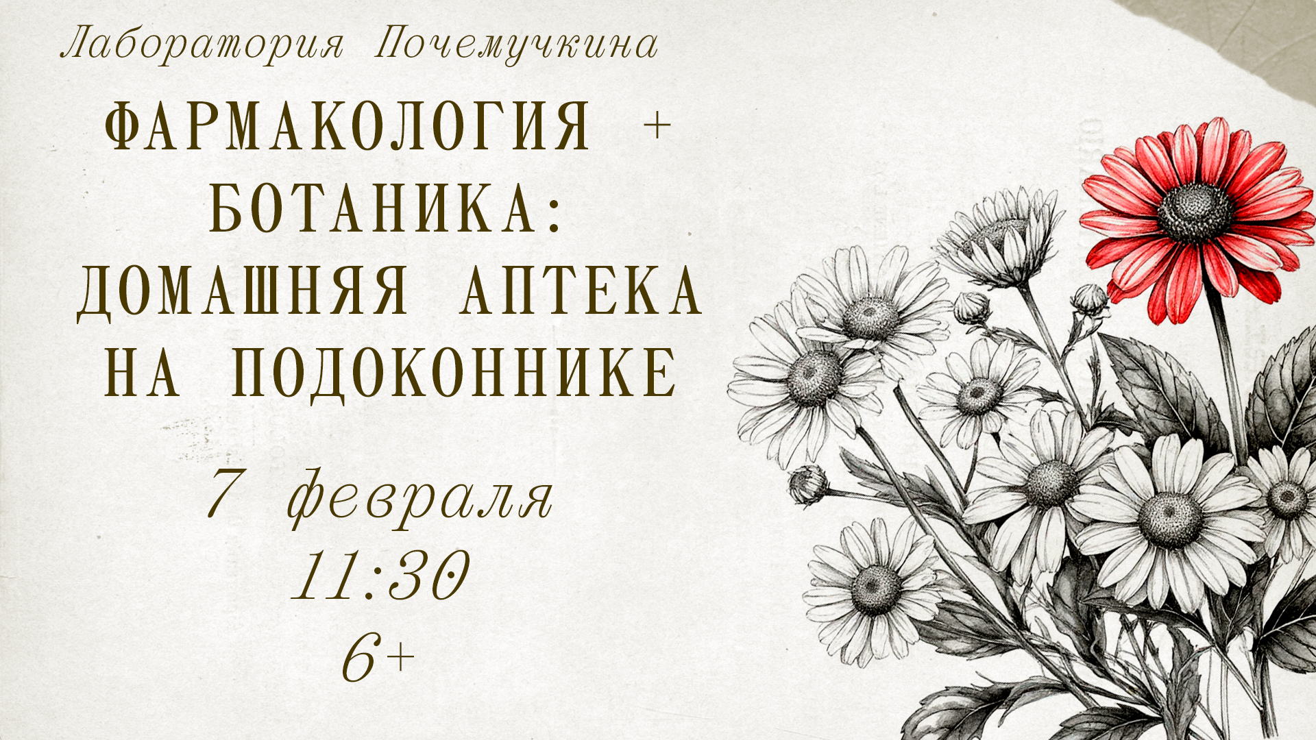 Лаборатория почемучкина: Фармакология+ ботаника: домашняя аптека на подоконнике