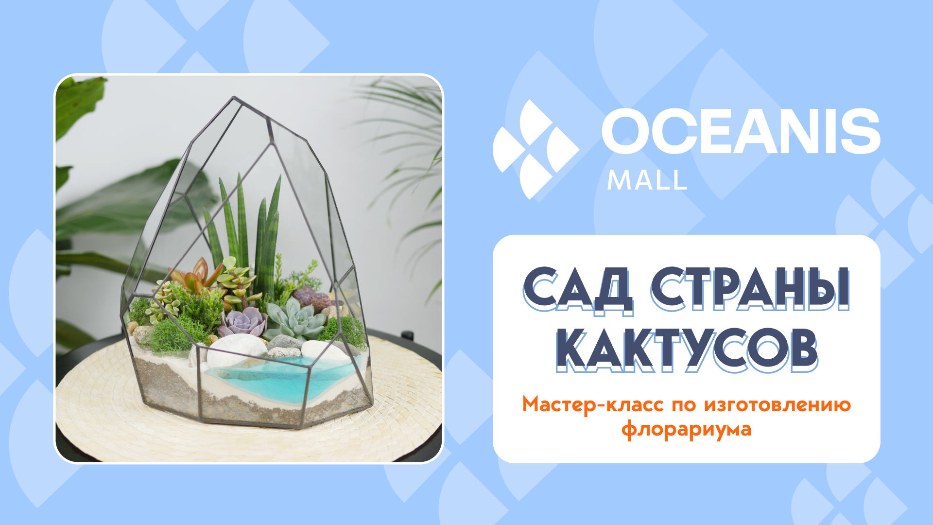 Регистрация на мастер-класс "Сад страны кактусов"