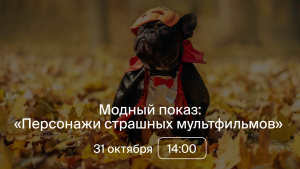 Модный показ с питомцем "Персонажи страшных мультфильмов"