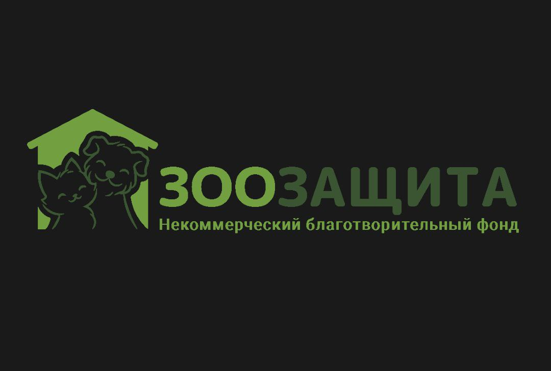 Коктейльный Мастер-класс: Коктейли в домашних условиях