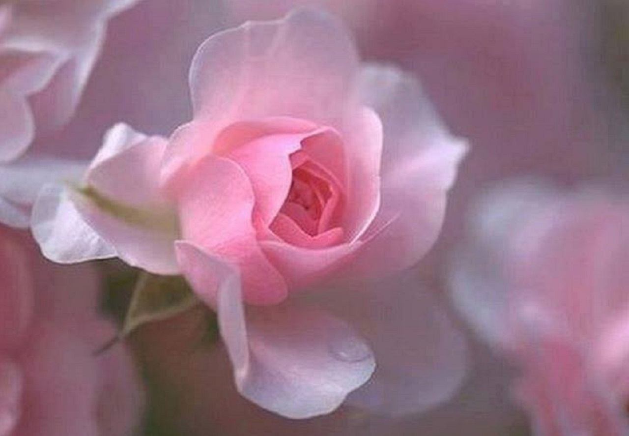 Женский взгляд