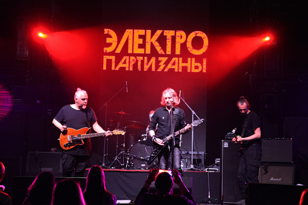 Электропартизаны. Время N. Санкт-Петербург