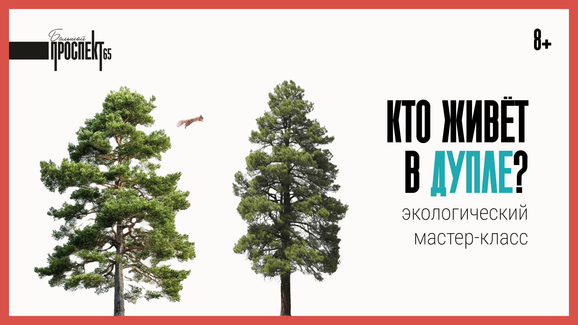 Кто живёт в дупле?