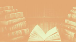 Презентация книги  «Некрополи Петербурга. Адамовы головы, холерные кладбища и Гром-камень»