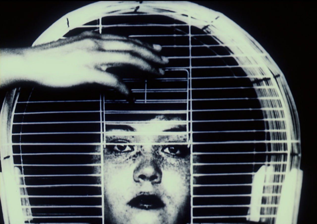 Программа короткометражных фильмов, 12+