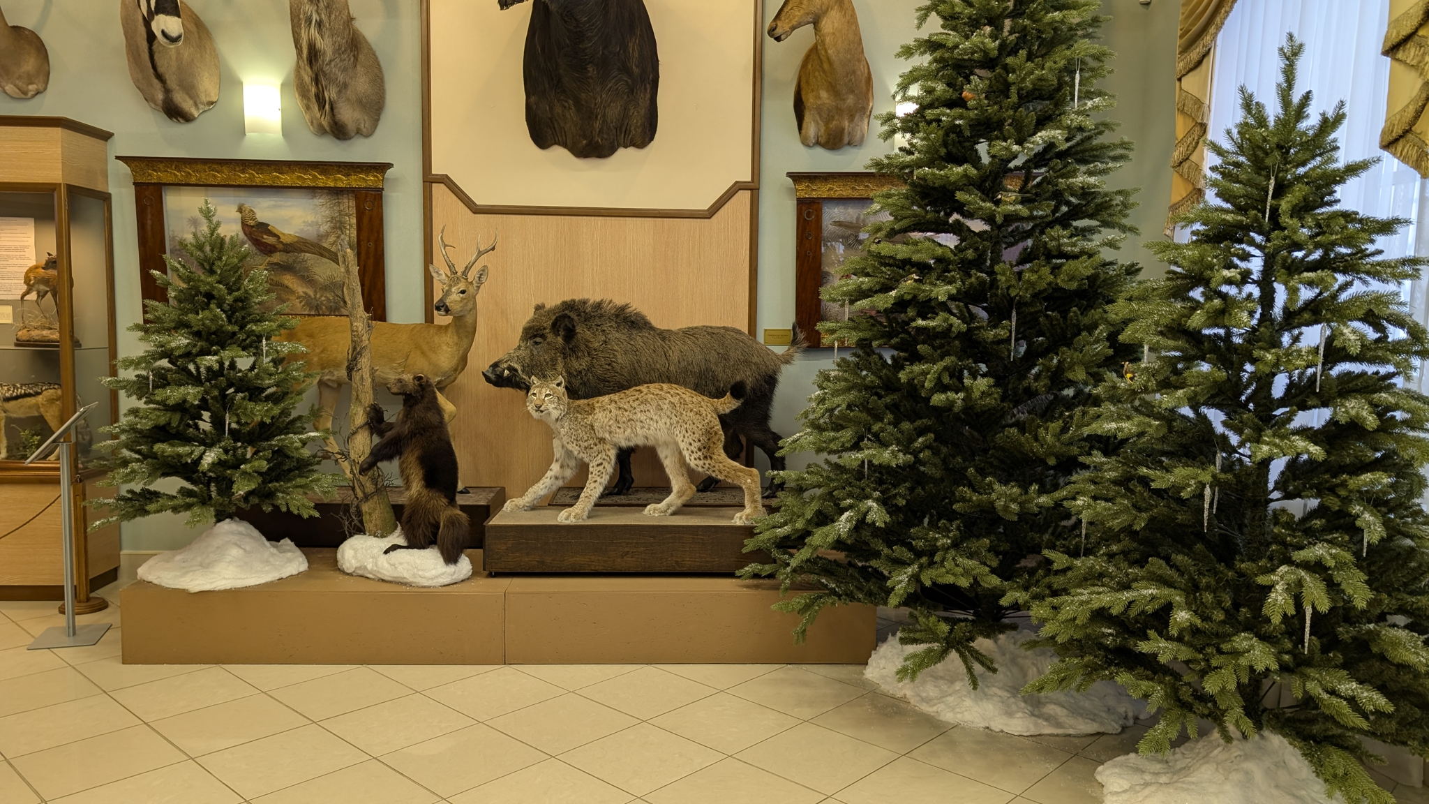 День кошек в Музее природы Урала