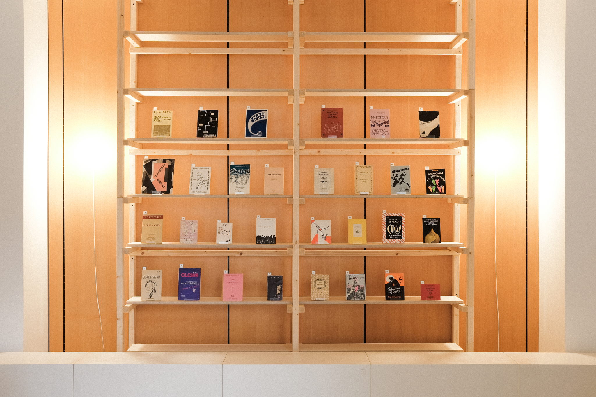 Рассказ об издательстве Ardis от коллеционера Александра Гачкова