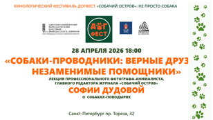 Собаки-проводники: верные друзья и незаменимые помощники
