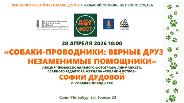 Собаки-проводники: верные друзья и незаменимые помощники