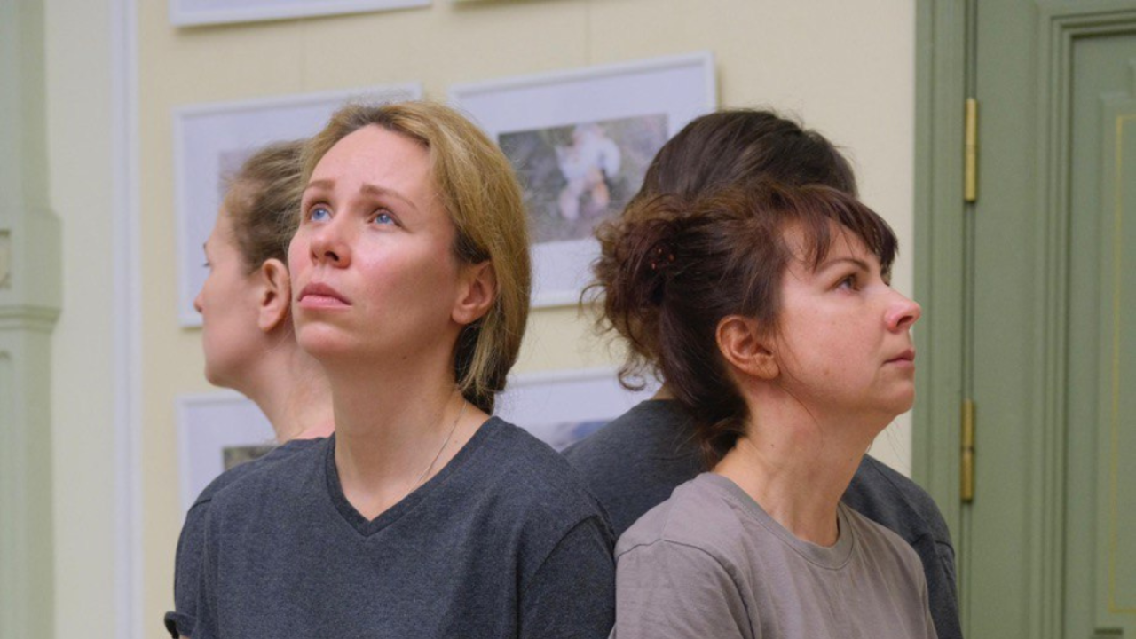 «синхронизация в биркенвальде»‎