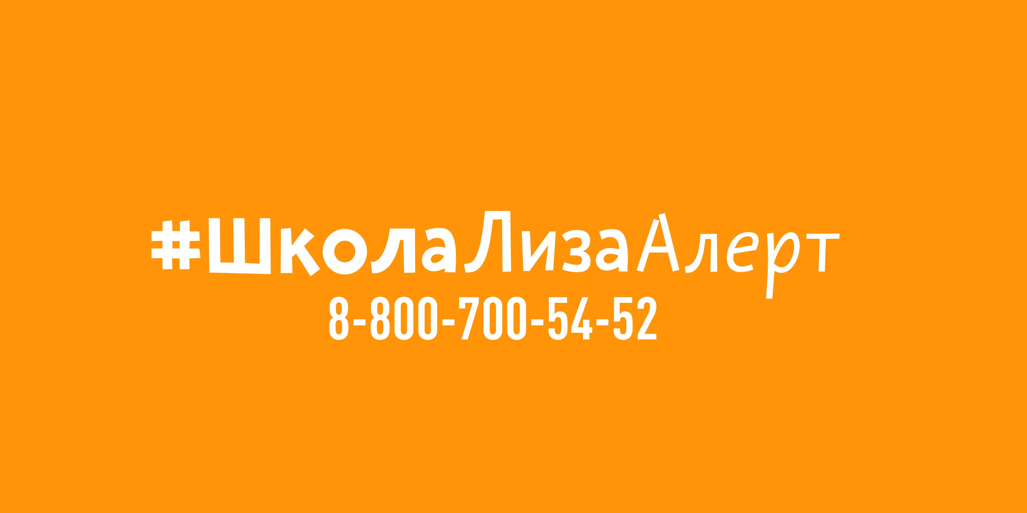ШКОЛА ЛИЗА АЛЕРТ
