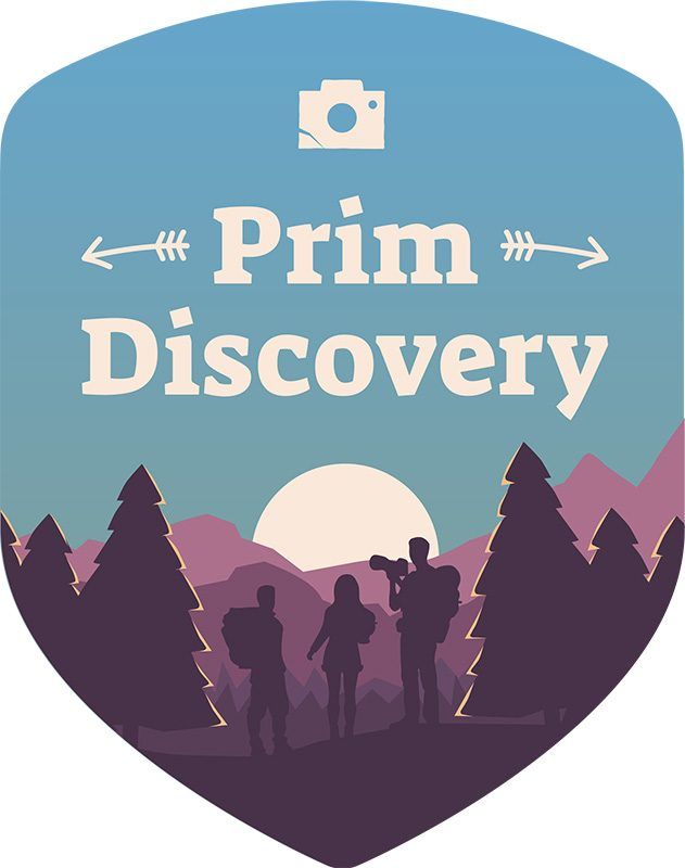 PrimDiscovery