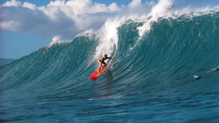 Как опираться на воду или Жизнь в эпоху крайней переменчивости
