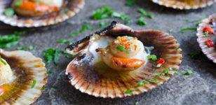 Морская фантазия с гребешками и креветками