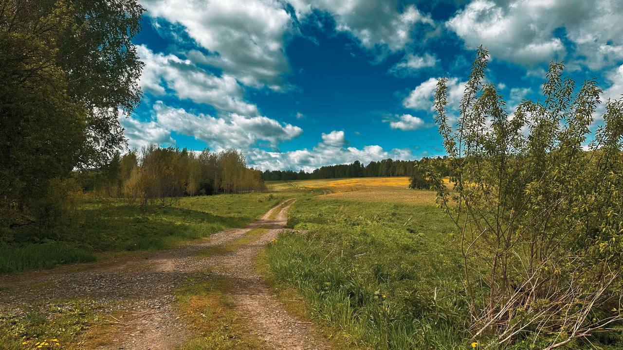 19:30 Новосибирск Тема: Дикая Сотка