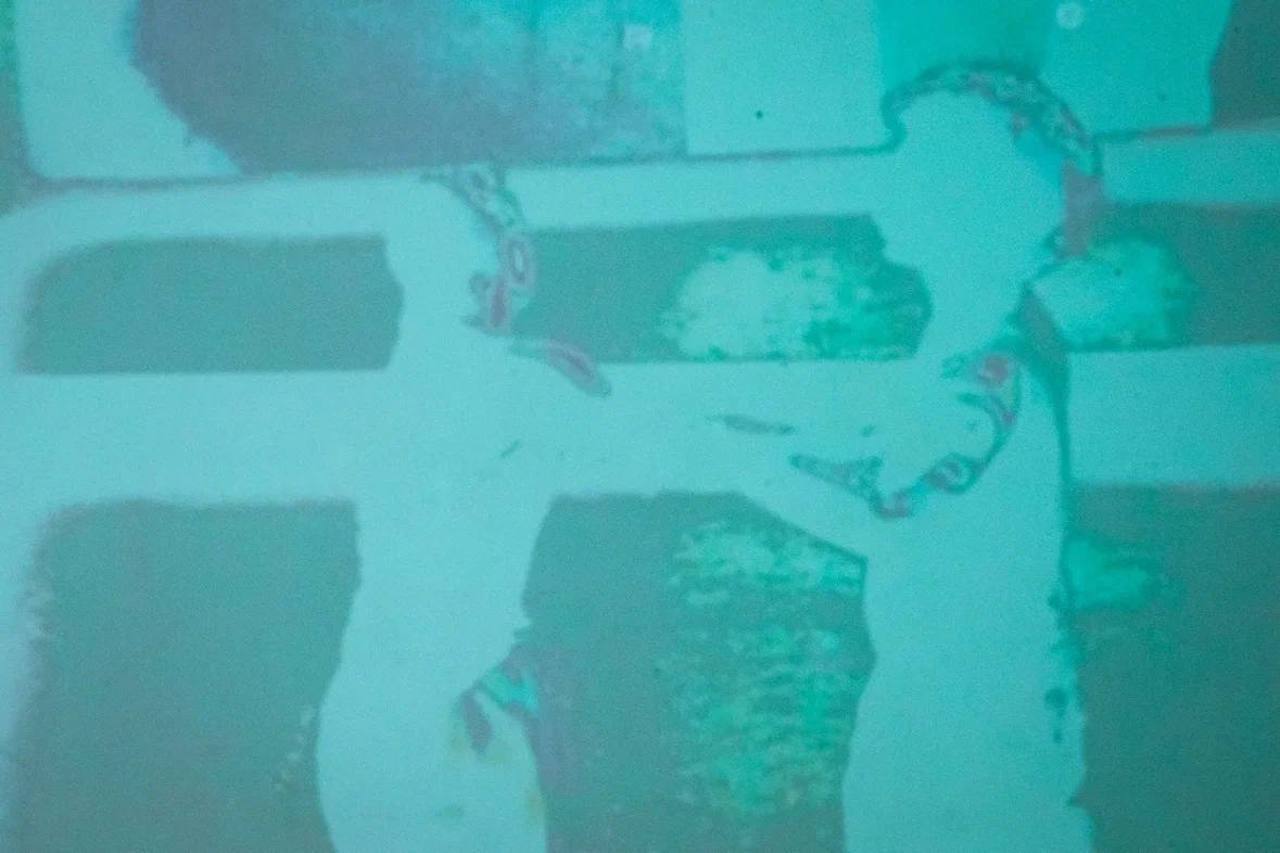 Лекция / Artist talk «Новые медиа в современном искусстве как персонаж»