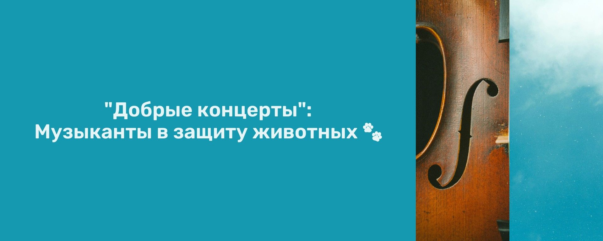 "Добрые концерты" классические музыканты в поддержку животных