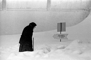 Птицы в городе: незнакомцы, гости, соседи