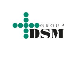 Информационный партнер – DSM Group