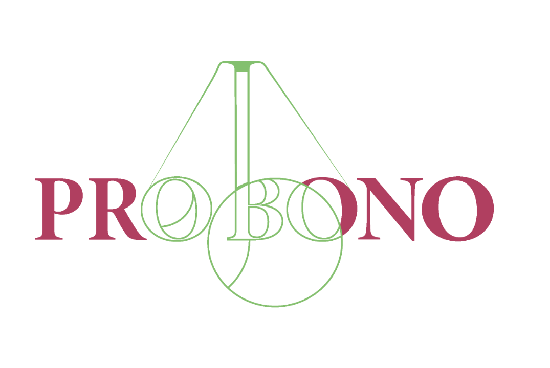 PRO BONO RUSSIA