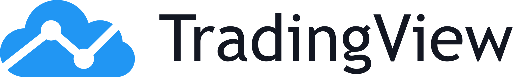 Silver Sponsor - Trading View